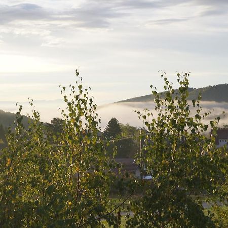 Gites Du Taennchel Thannenkirch Eksteriør billede