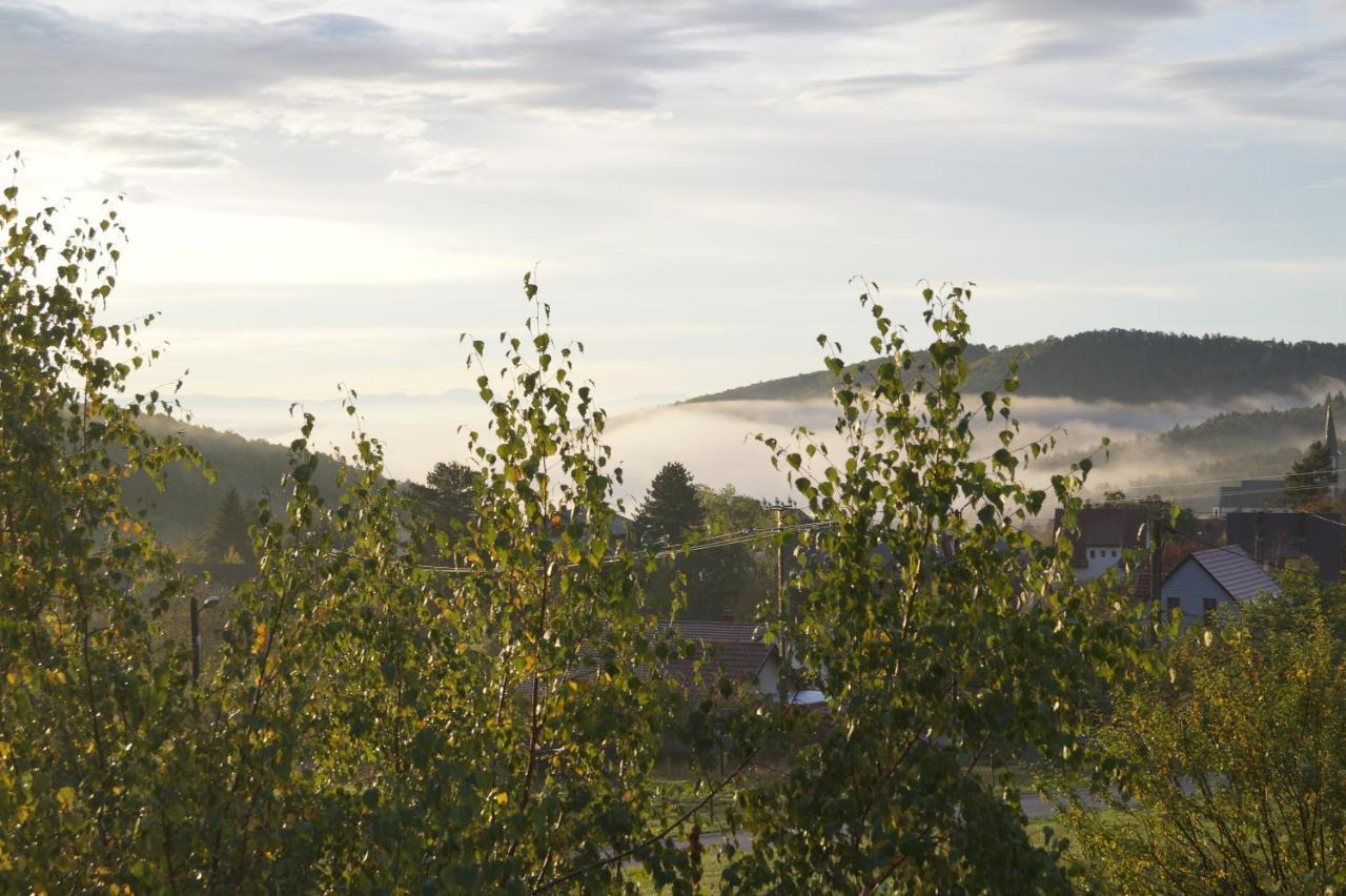 Gites Du Taennchel Thannenkirch Eksteriør billede